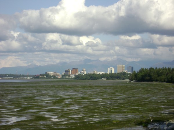 Anchorage at low-tide, which varies as much as 38 feet--about the same as my belt size around the holidays.