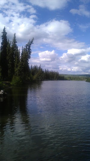 This is the Chena River (pronounced “Chee-na”). It is NOT the Chia River. I know this because the woman in front of me kept yelling this at the person behind her because he kept singing “Ch-ch-ch-chena.”