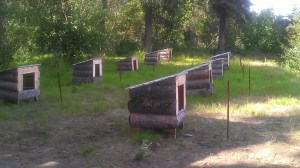 Something tells me if I were a native Alaskan, I would more often than not be spending the night here.